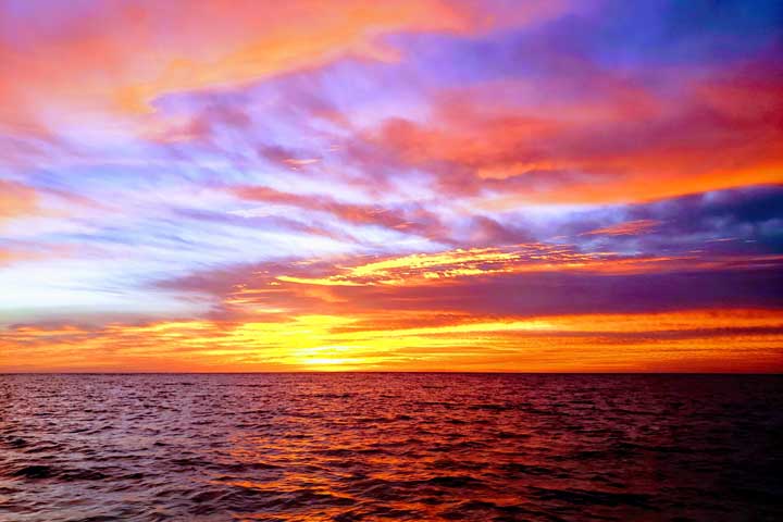 sunset dinner cruise anna maria island