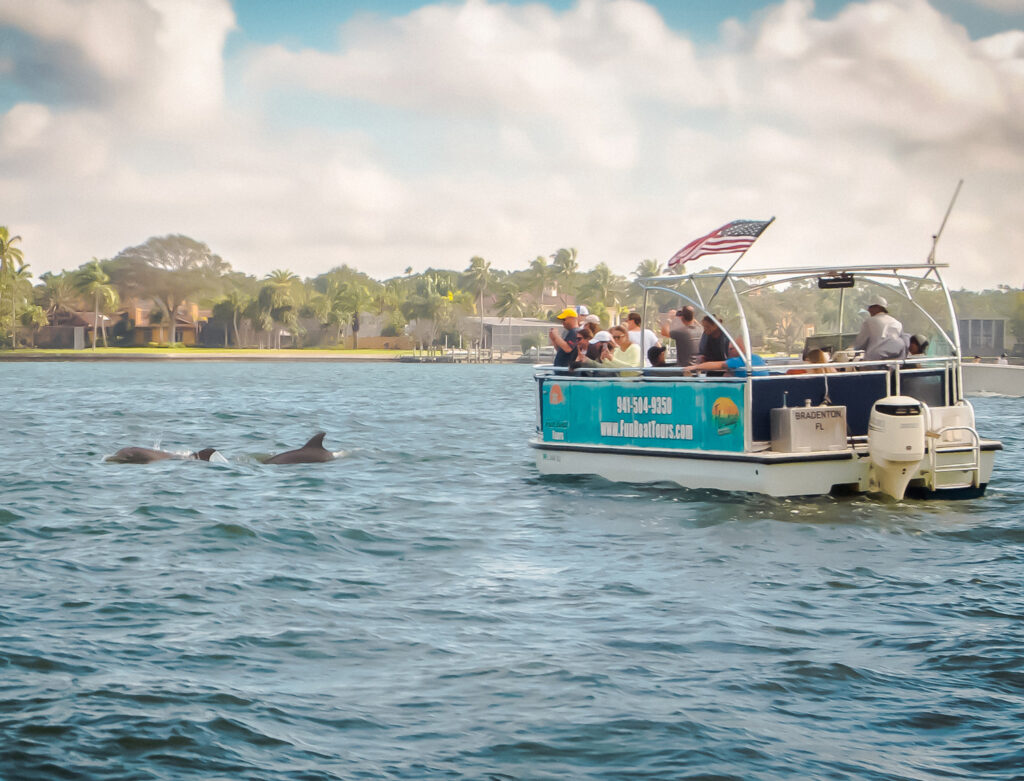 dolphin cruises anna maria island